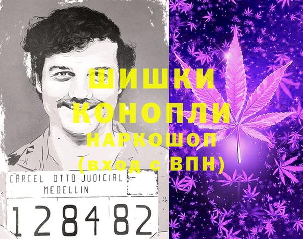 прущие грибы Балабаново