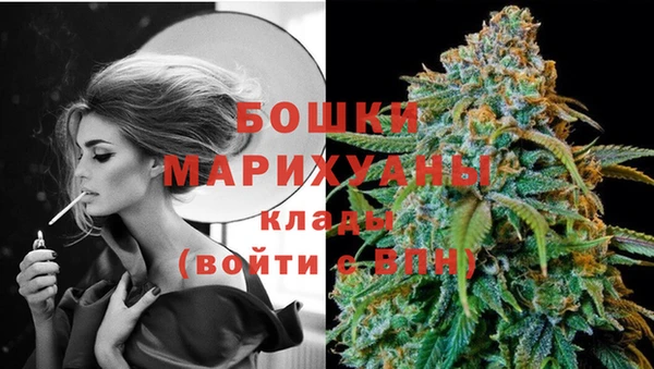 прущие грибы Балабаново