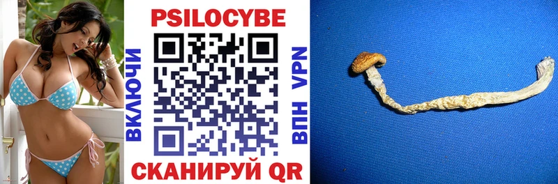 как найти закладки Новоалтайск Галлюциногенные грибы мухоморы
